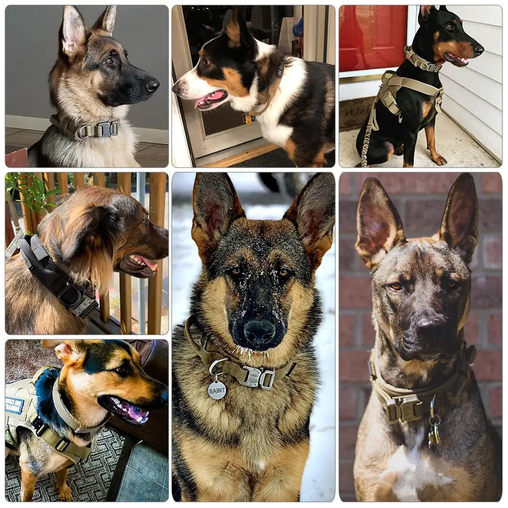 Collar Táctico para Perro (Resistente y Ajustable)