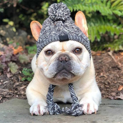 Gorra para Perro (Ajustable y Transpirable)