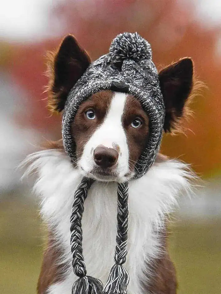Gorra para Perro (Ajustable y Transpirable)