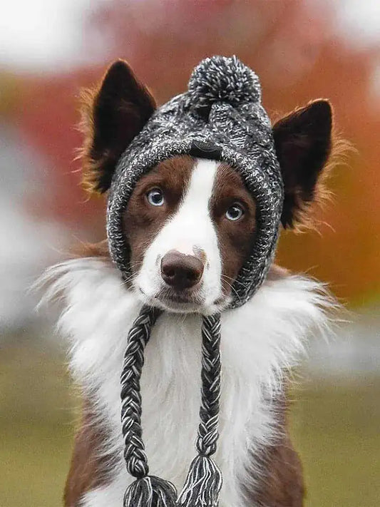Gorra para Perro (Ajustable y Transpirable)
