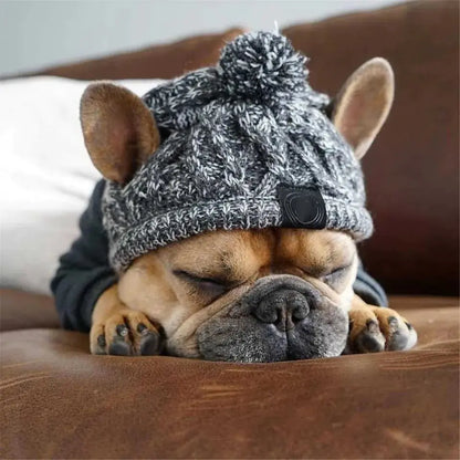 Gorra para Perro (Ajustable y Transpirable)